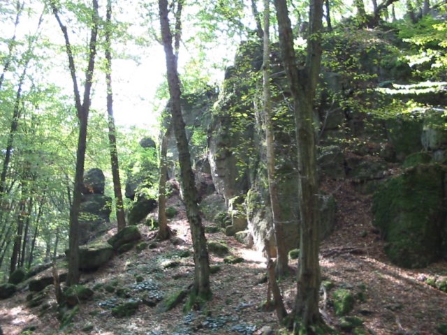 photo5.jpg