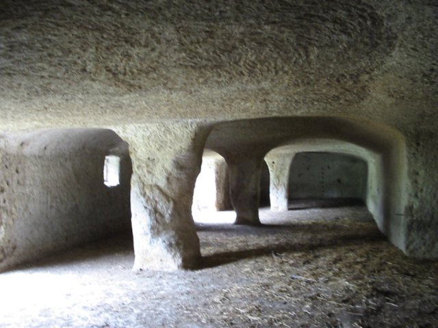 photo8.jpg