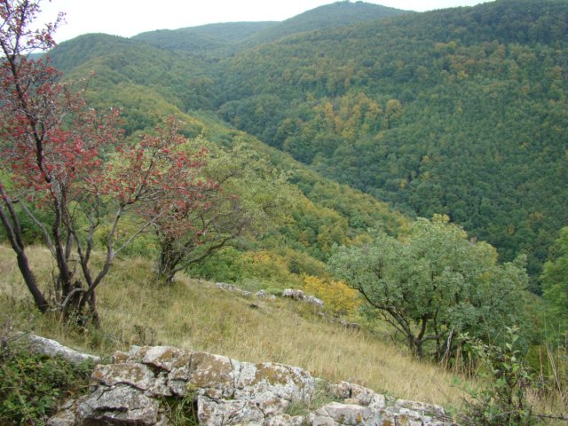 photo11.jpg