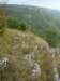 photo12_small.jpg