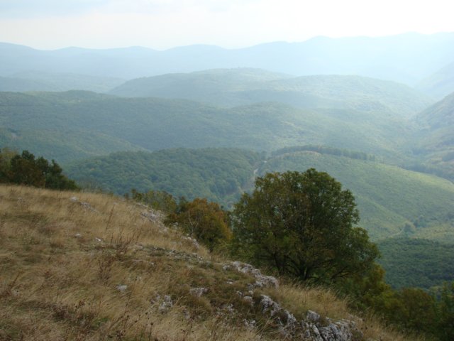 photo13.jpg