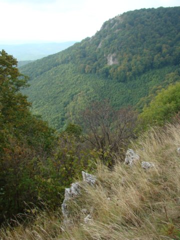 photo16.jpg