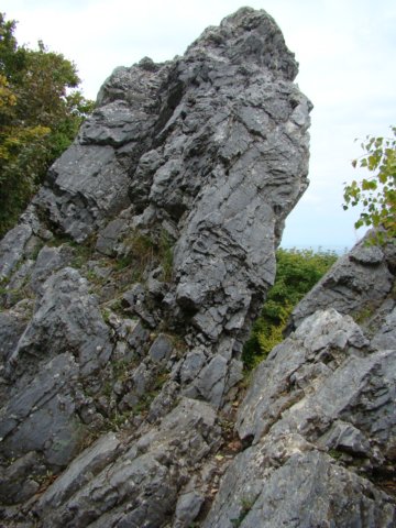 photo26.jpg