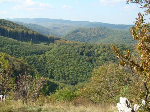 photo27.jpg