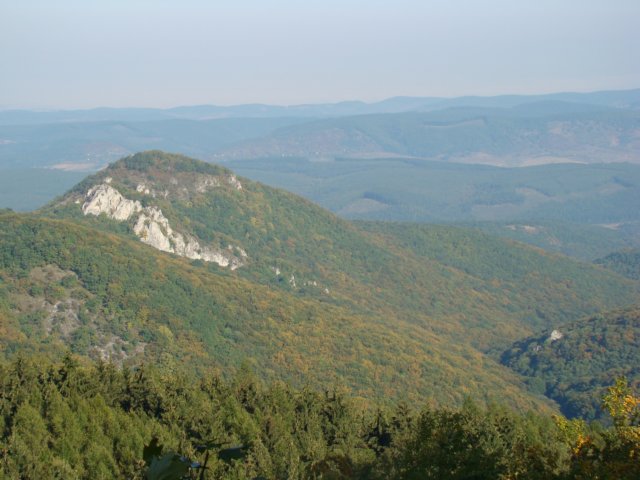 photo29.jpg