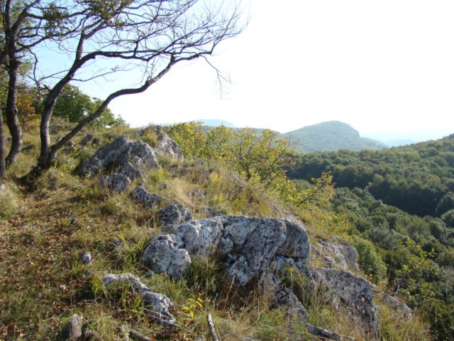 photo32.jpg
