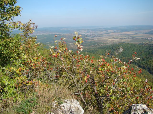 photo34.jpg