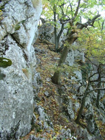 photo4.jpg