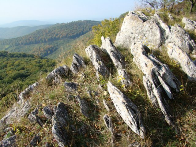 photo6.jpg
