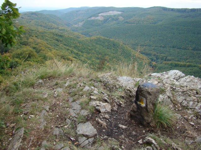 photo7.jpg