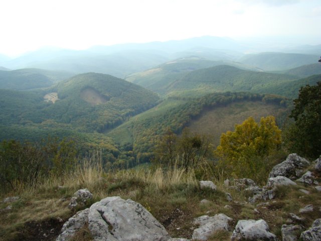 photo9.jpg