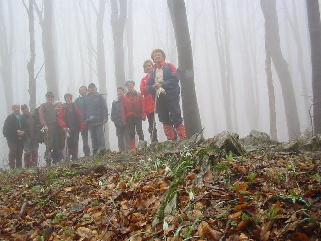 photo1.jpg