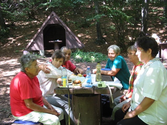 photo11.jpg