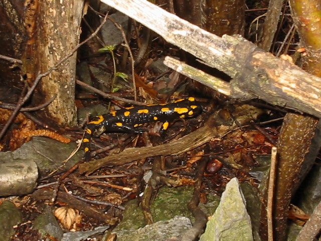 photo3.jpg
