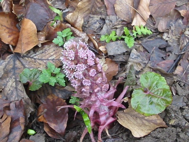 photo9.jpg