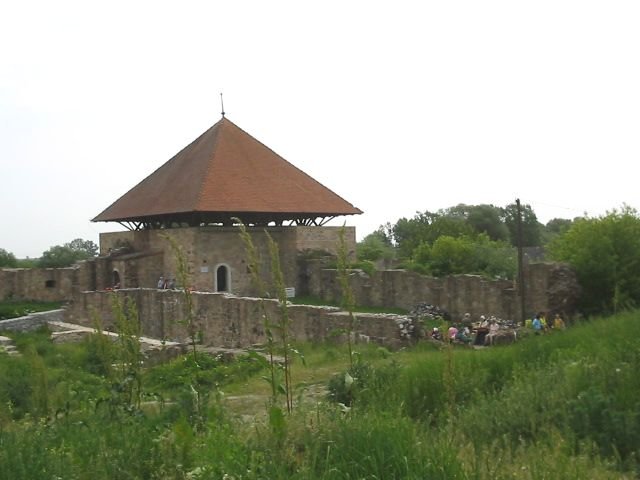 photo12.jpg