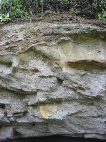 photo1.jpg