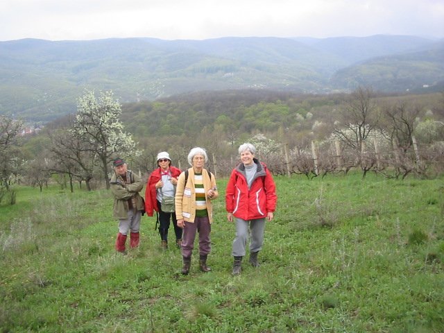 photo3.jpg