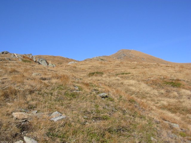 photo24.jpg