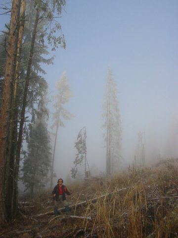 photo3.jpg