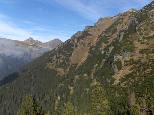 photo35.jpg