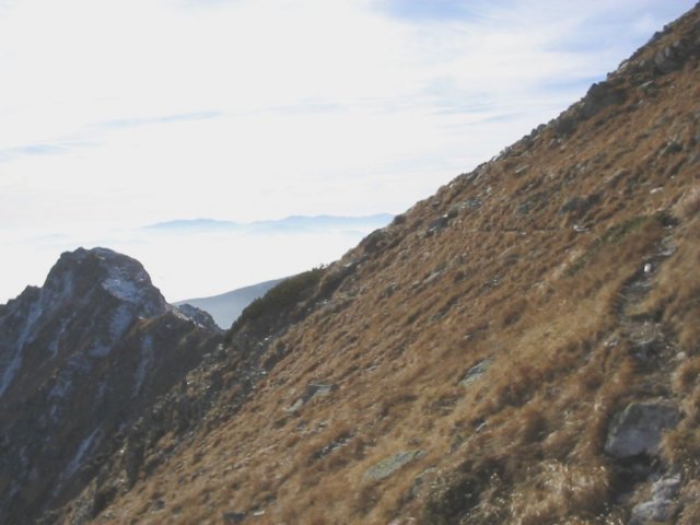 photo52.jpg