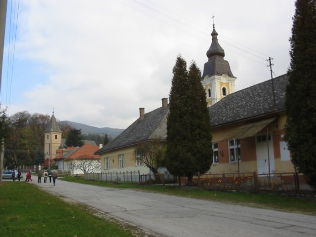 photo84.jpg
