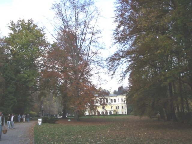 photo87.jpg