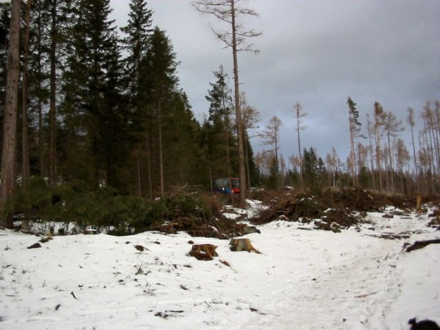 photo16.jpg