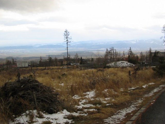 photo17.jpg