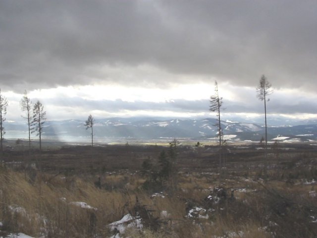 photo5.jpg