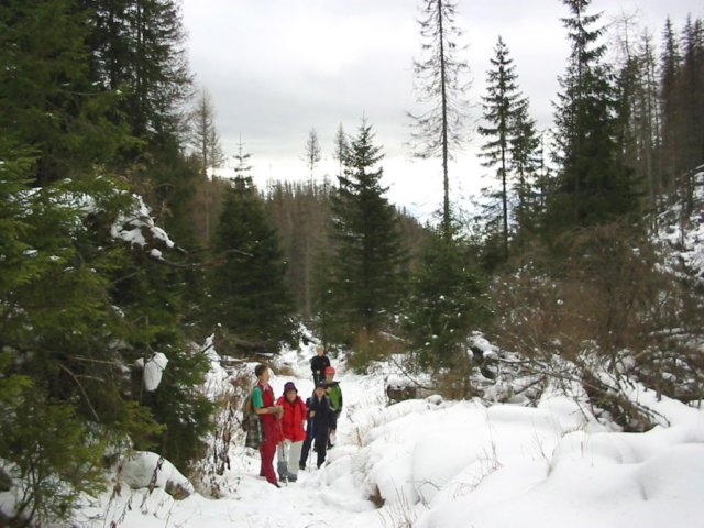 photo8.jpg