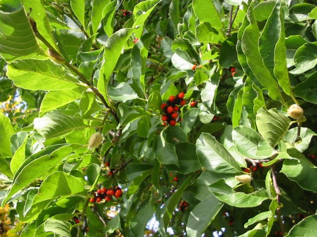 photo7.jpg