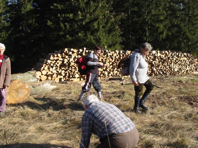 photo5.jpg