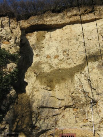 photo6.jpg