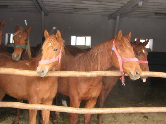 photo7.jpg
