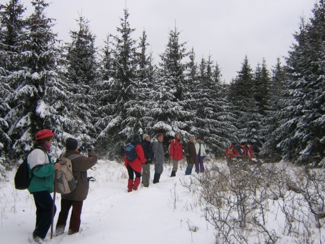 photo9.jpg