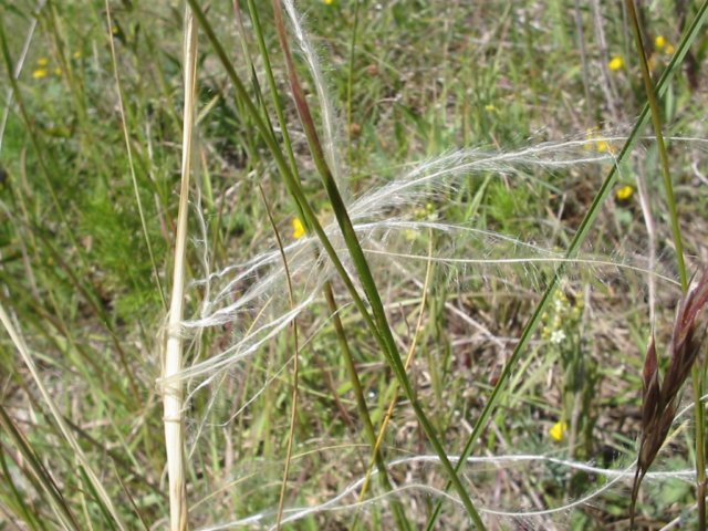 photo13.jpg