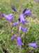 photo17_small.jpg