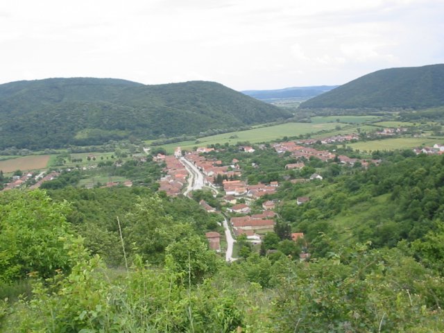 photo18.jpg