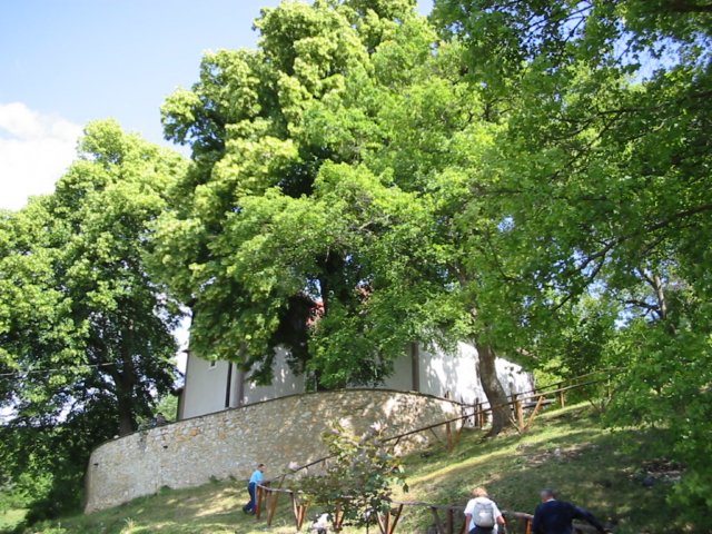 photo3.jpg