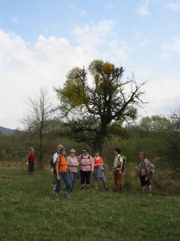 photo15.jpg