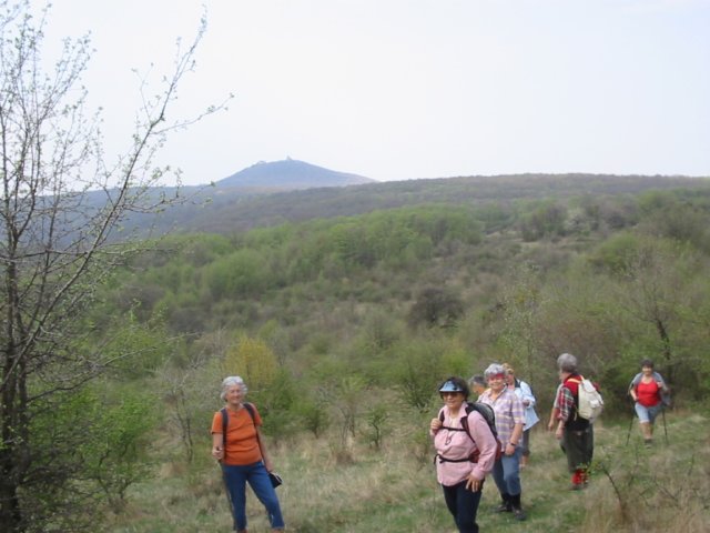 photo17.jpg