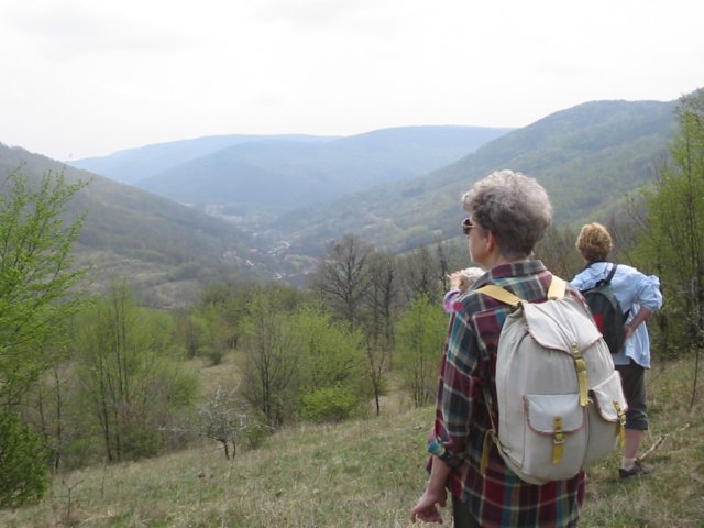 photo18.jpg