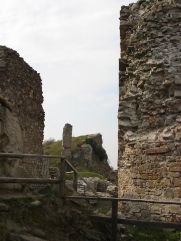 photo2.jpg