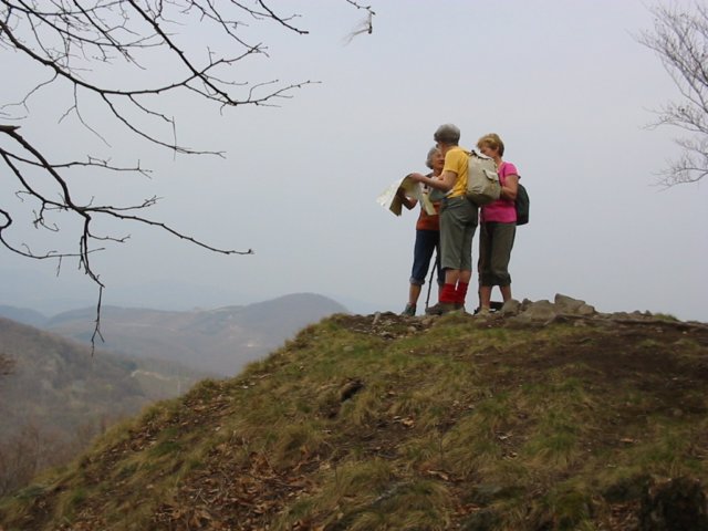 photo24.jpg