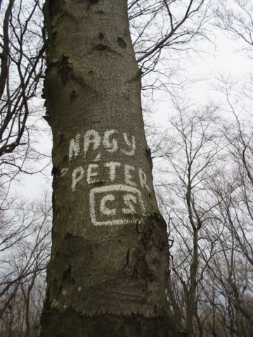 photo26.jpg