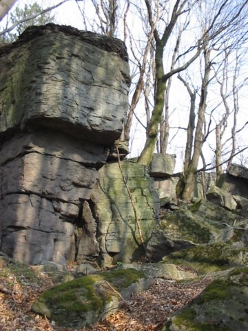 photo33.jpg