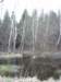 photo36_small.jpg