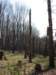 photo45_small.jpg